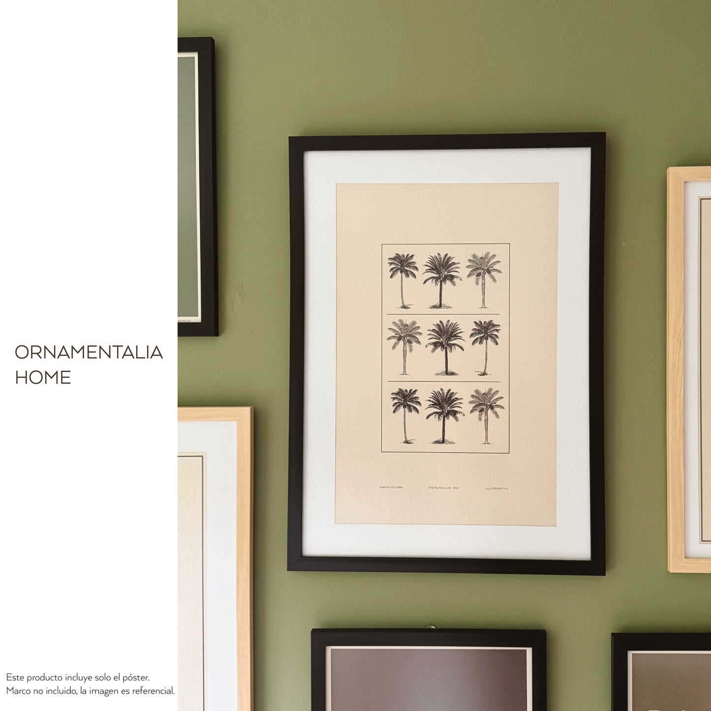 POSTER 50X33 - TROPICAL GRID